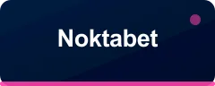 Noktabet logo